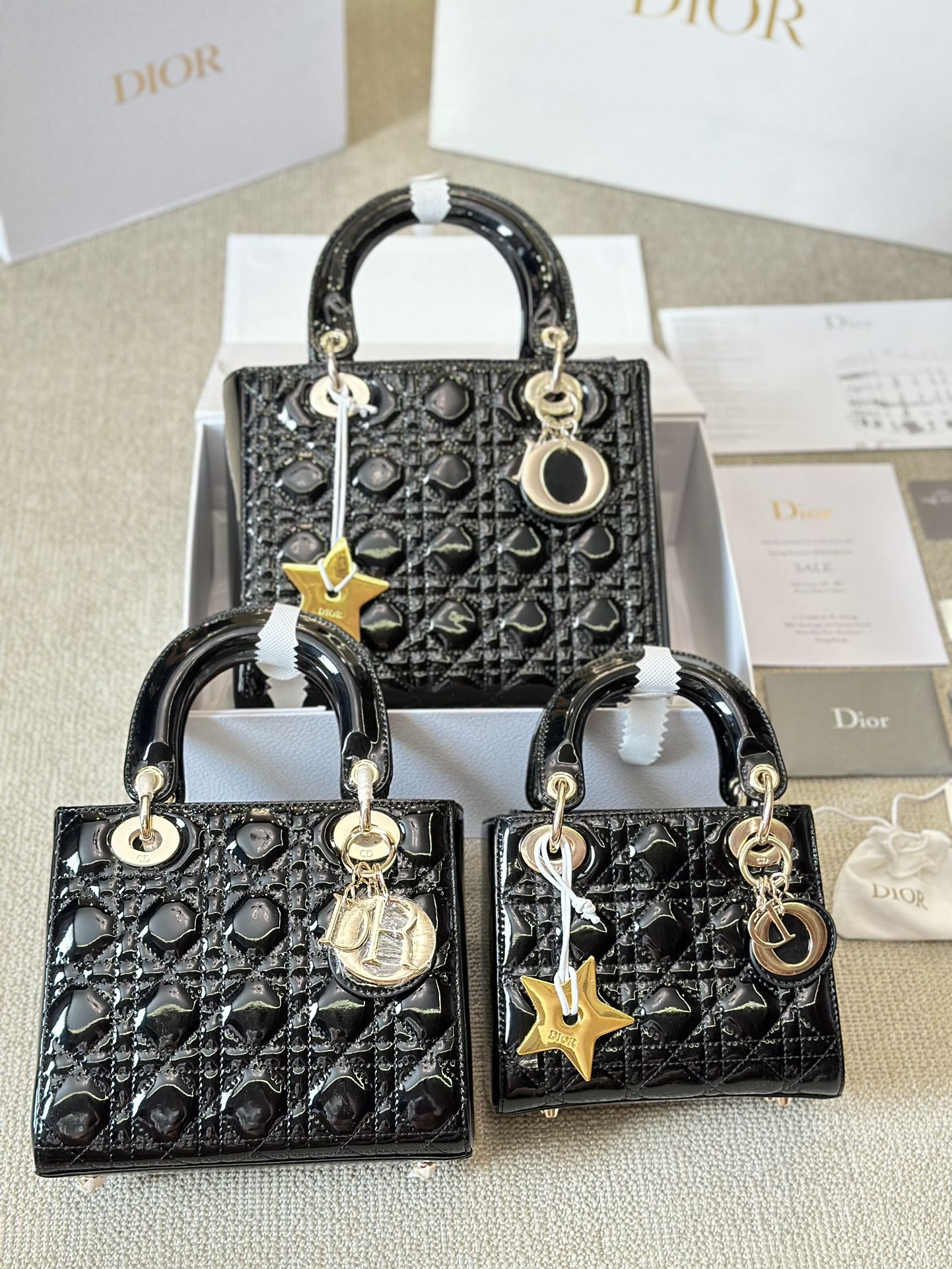 DIOR bag 376
